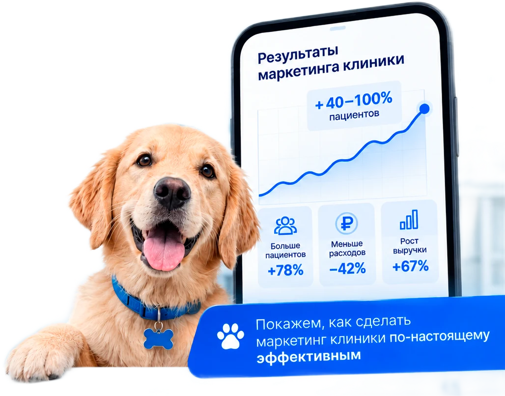 Результаты маркетинга ветеринарной клиники: рост числа пациентов, снижение расходов и рост выручки